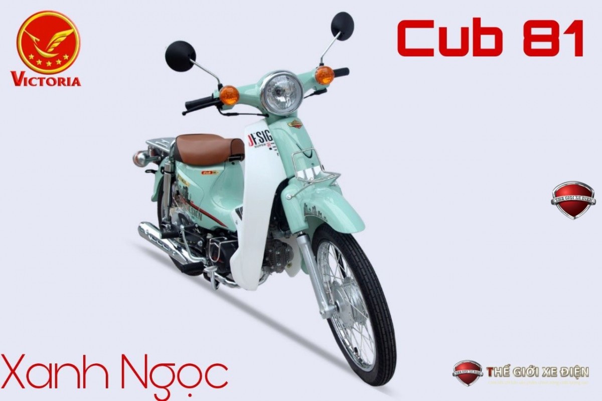 Xe Máy 50cc Cub Victoria Việt Nhật 2023 mới nhất